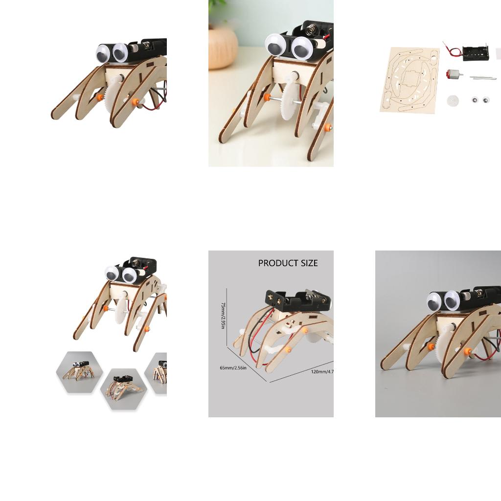 Science Project Physics - Projekt eksperymentu z fizyką mechanicznych owadów